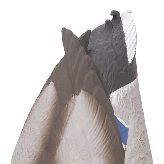 Drake Tail Image of the G&H Decoys Premier Series Mallard Duck Butt Feeder Decoys.