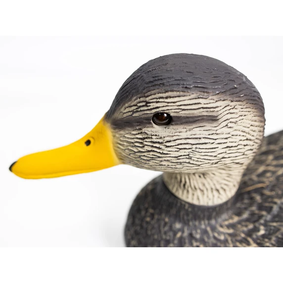 Head Image of the G&H Decoys Black Duck Magnum Decoy.