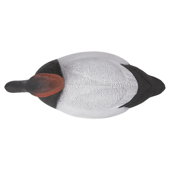 Top of Drake Image of the G&H Decoys Premier Series Canvasback Duck Decoys.