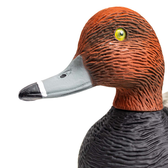 Drake Head Image of the G&H Decoys Premier Series Redhead Duck Decoys.