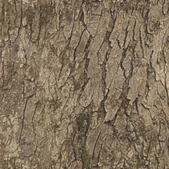 Image of the Beavertail 1400/1600 Boat Blind Flip Lid in Blind Spot Timber