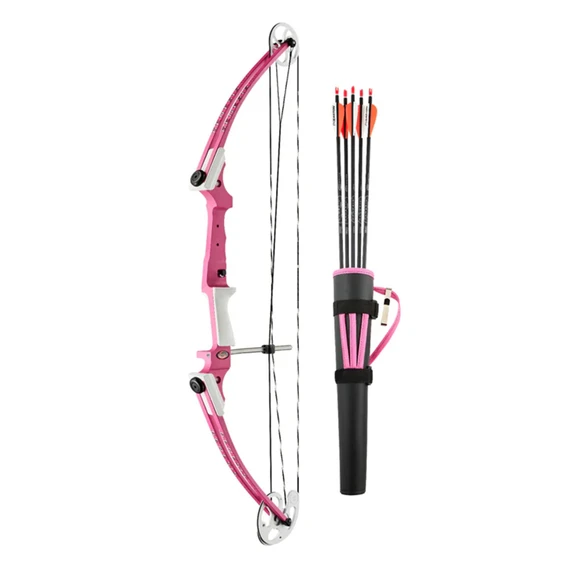 Image of the Genesis Archery Original Archery Bow Kit in Pink