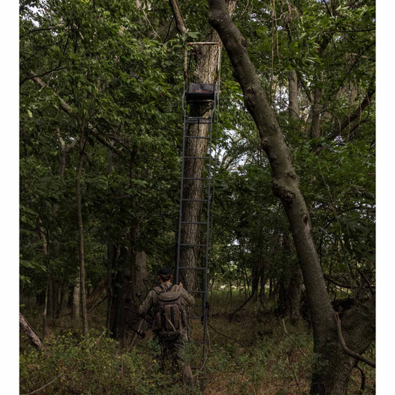 Outdoor image of the Big Gmae The Warrior DXT Ladderstand.