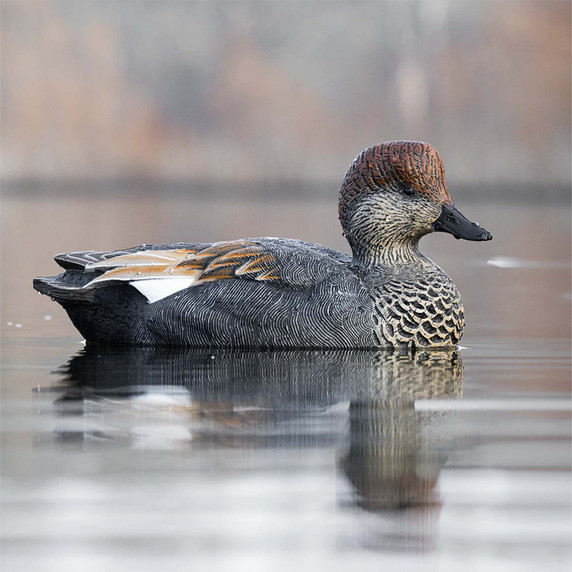 In-the-Water Drake Image of the Rig'Em Right Mainline Series Gadwall Duck Decoys.