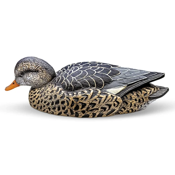 Hen Image of the Rig'Em Right Mainline Series Gadwall Duck Decoys.