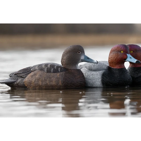 In-the-Water Image of the Rig'Em Right Mainline Series Redhead Duck Decoys.