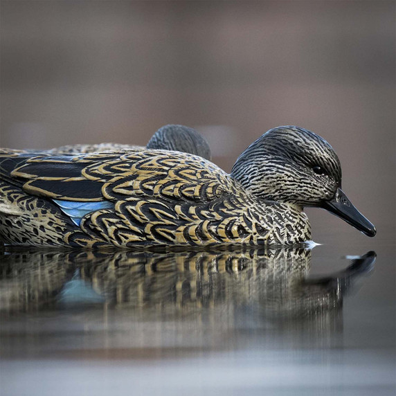 Detailed Image of the Rig'Em Right Mainline Series Early Season Teal Hen Duck Decoys.