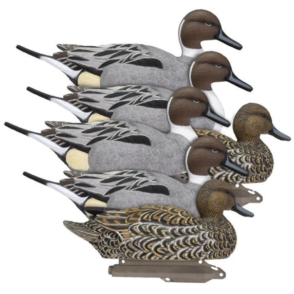 Image of the Higdon Legacy Magnum Pintail Foam Filled Decoys, 6 Pack.