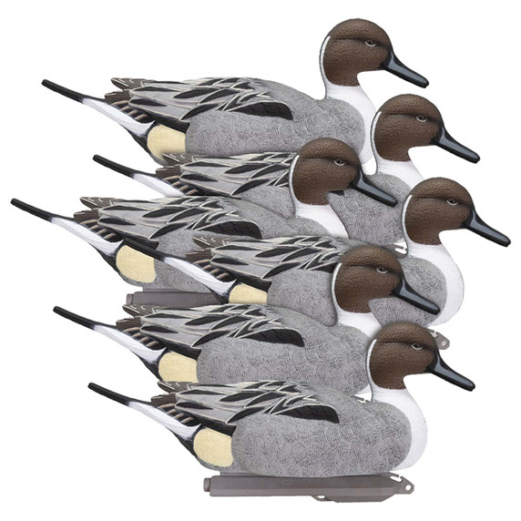 6 Pack Image of the Higdon Outdoors Legacy Magnum Pintail Foam-Filled Floating Drakes.