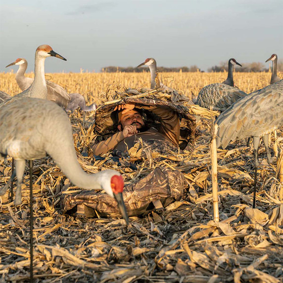 Image of the GHG Decoy Systems Sandhill Crane Full Body Adult Active Pair