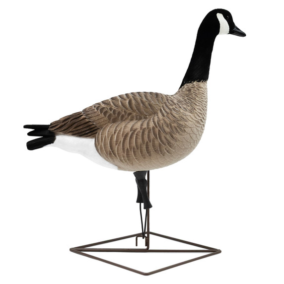 Sentry Image of the Live Full-Body Honkers.