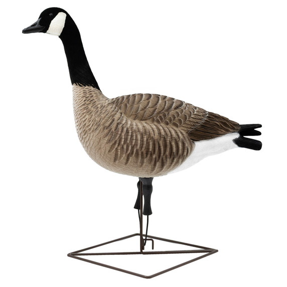 Sentry Left Side Image of the Live Full-Body Honkers.