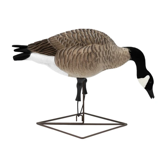 Bent Neck Feeder Image of the Live Full-Body Honkers.