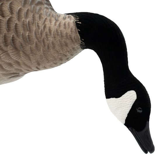 Bent Neck Feeder Head Image of the Live Full-Body Fully Flocked Honkers.
