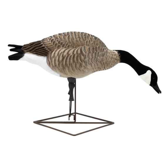 Long Neck Feeder Image of the Live Full-Body Fully Flocked Honkers.