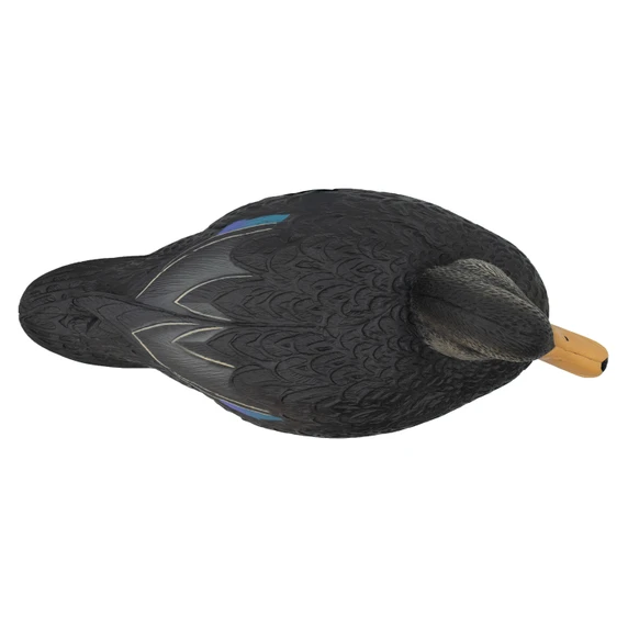 Top of Drake Image of the Oversized Live Black Duck Decoys.