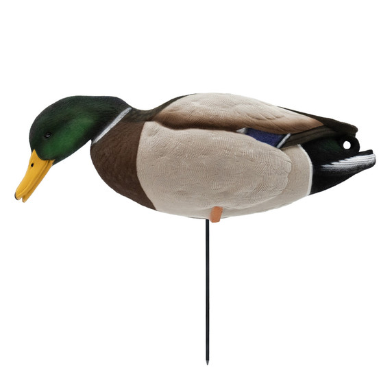 Left Side Feeding Drake Image of the HD Full-Body Fully Flocked Mallard Duck Decoys.