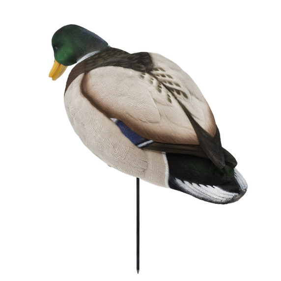 Back Feeding Drake Image of the HD Full-Body Fully Flocked Mallard Duck Decoys.