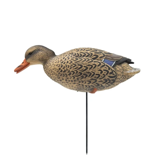 Flipped hen image of the HD Full Body Mallards with Flocked Head Drake.