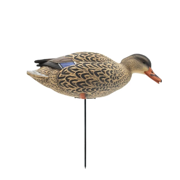 Feeder hen image of the HD Full Body Mallards with Flocked Head Drake.