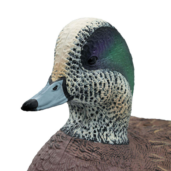 Upright Drake Head Image of the HD Full Body Wigeon Duck Decoys.