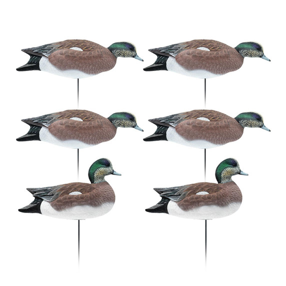 6 Pack Image of the HD Full Body Wigeon Duck Decoys.
