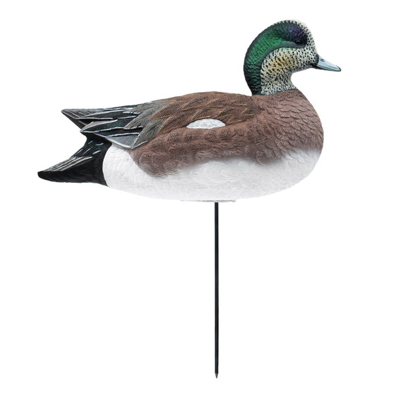 Right Side Upright Drake Image of the HD Full Body Wigeon Duck Decoys.