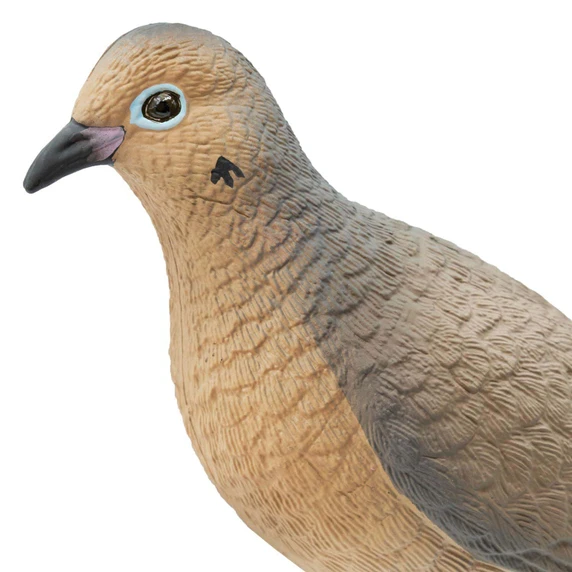 Head Image of the Final Approach Live Mourning Dove Decoy.
