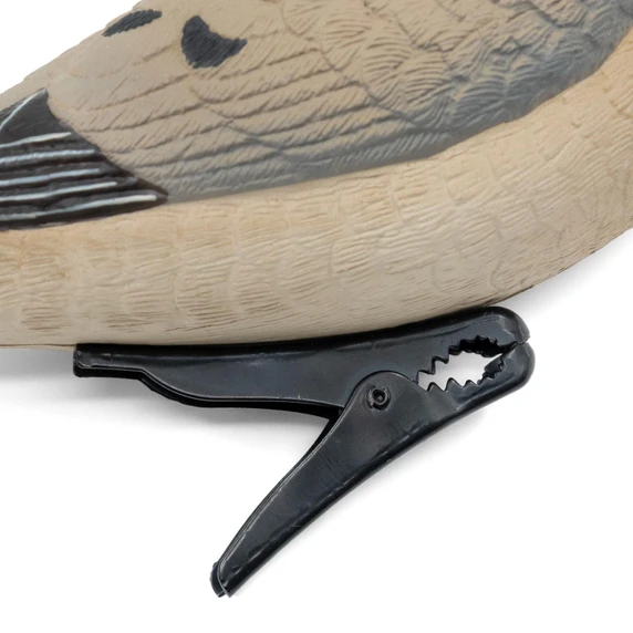 Clip Image of the Final Approach Live Mourning Dove Decoy.