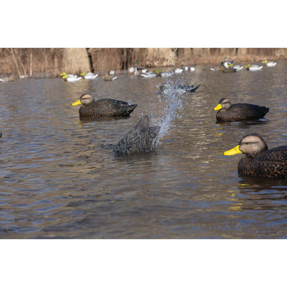 In Use Image of the Higdon Outdoors Pulsator PRO Black Duck Water Motion Decoy.