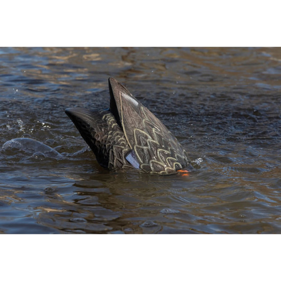In the Water Image of the Higdon Outdoors Pulsator PRO Black Duck Water Motion Decoy.