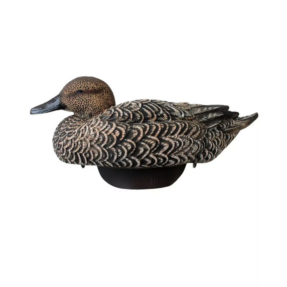 Hen image of the Heyday Outdoor HydroFoam Pintail Mallard Hybrid, 6 Pack.