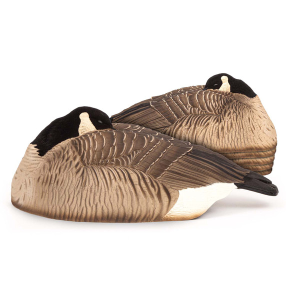 Image of the Dave Smith Decoys Maxima Honkers Sleeper Shell, 6 Pack.