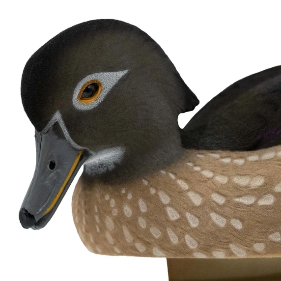 Hen head image of the Final Approach Live Fully Flocked Wood Ducks.
