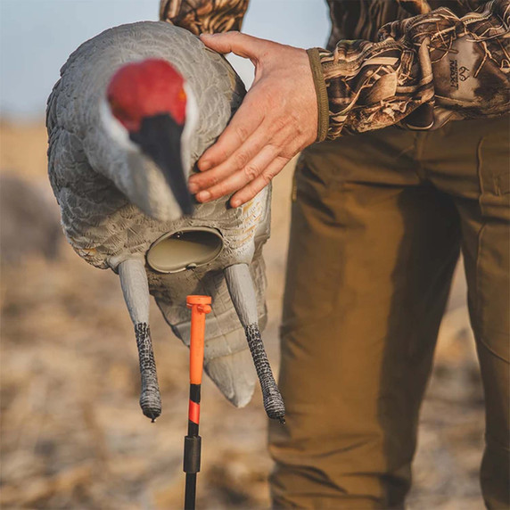 Attaching to Stake Image of the GHG Decoys Sandhill Crane Full-Body Juvenile Feeder Decoy.