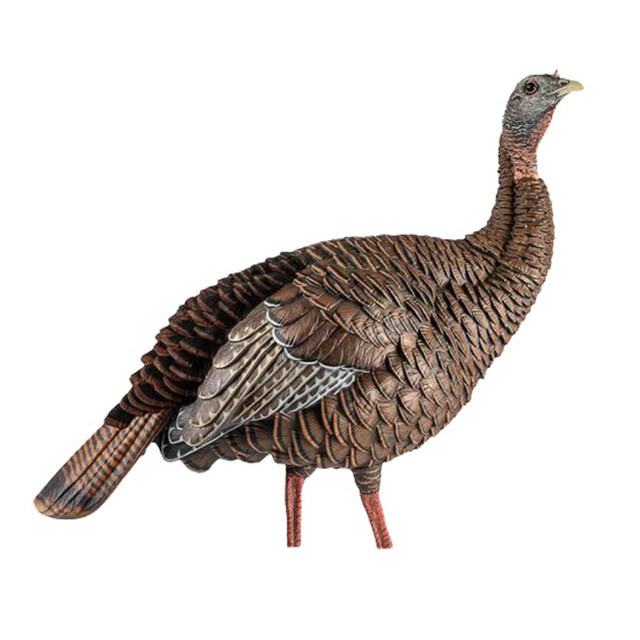 AvianX HDR Jake and Feeding Hen Turkey Decoy Combo Rogers Sporting Goods