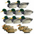 Floating Mallard Duck Decoys with Flocked Drake Heads, 12 Pack