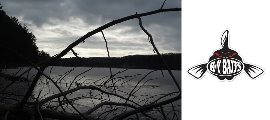 B-Y Baits