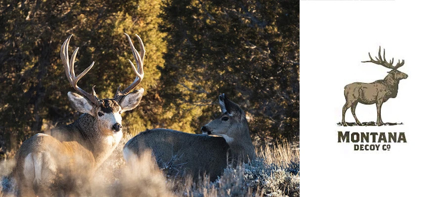 Montana Decoy