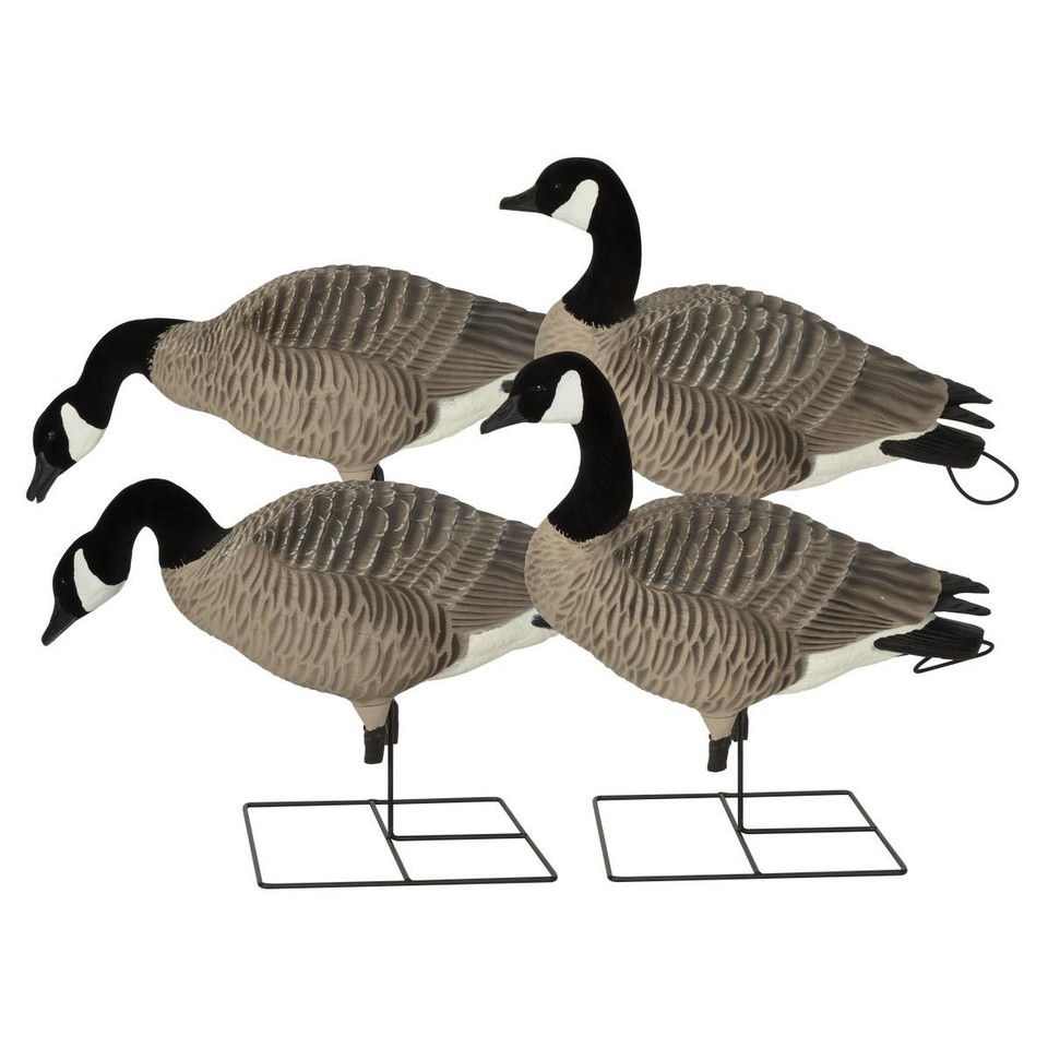 Avery GHG Pro Grade XD Canada Goose Decoys Harvester 4 Pack Rogers Sporting Goods