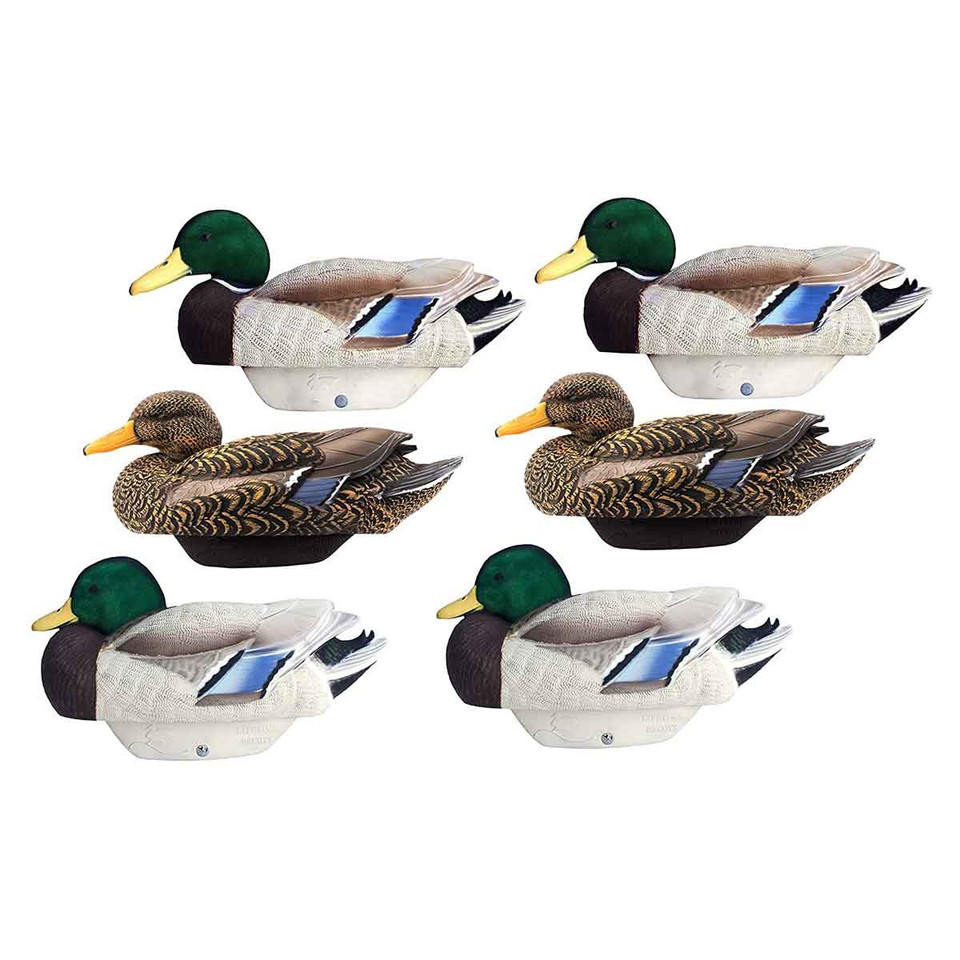 Dakota Decoy XTreme Fully Flocked Mallard Decoys, 6 Pack Rogers