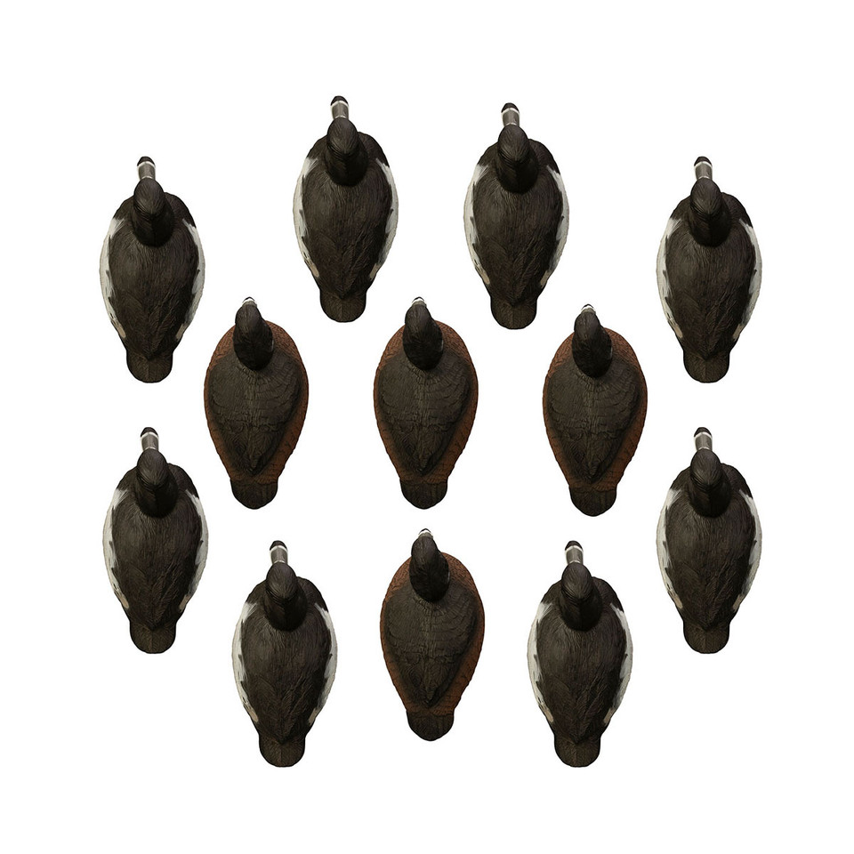 Higdon Standard Ringneck FoamFilled Duck Decoys 12 Pack Rogers Sporting Goods