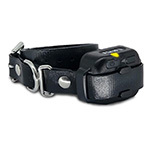 Bark Collars