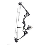 Bowfishing