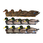 Duck Floaters