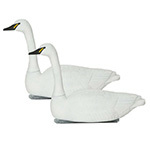 Confidence Decoys