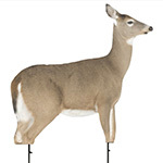 Deer Decoys