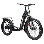 Electric Bikes