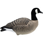 Goose Full Bodies / Shells
