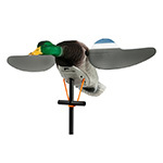 Motion Decoys